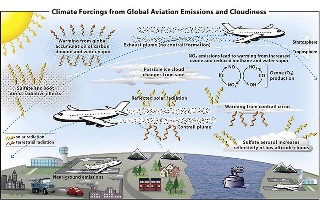 Deliverable 3.1 - Flight test - concept study