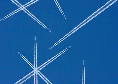 Project Management and Coordination